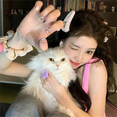 暗芝居第十三季